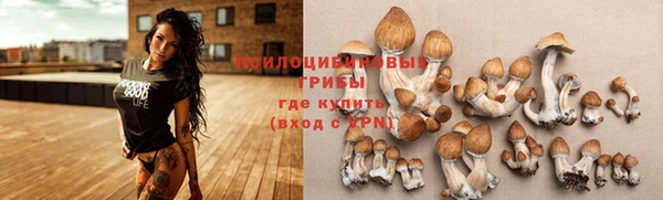 дживик Осинники