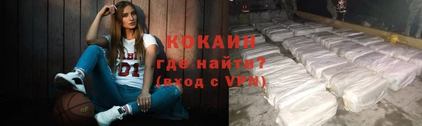 прущие грибы Переславль-Залесский