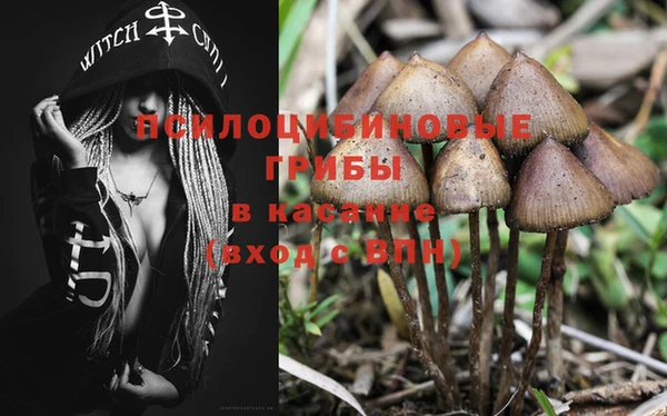 дживик Осинники