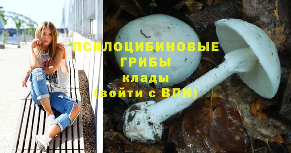 а пвп мука Осташков