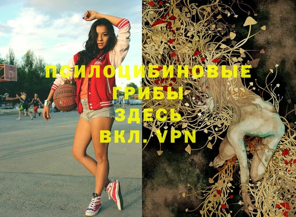 дживик Осинники