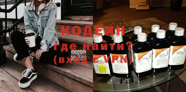прущие грибы Гвардейск