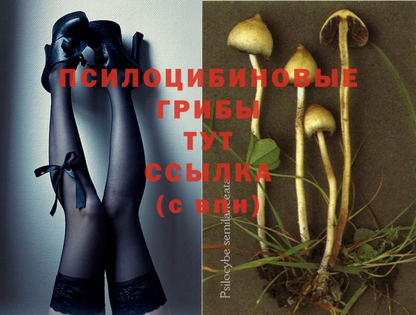 дживик Осинники