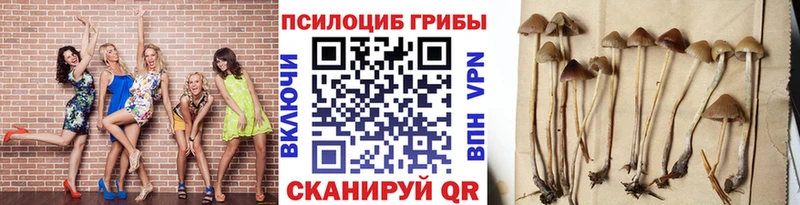 darknet Telegram  наркотики  Алушта  Галлюциногенные грибы прущие грибы 