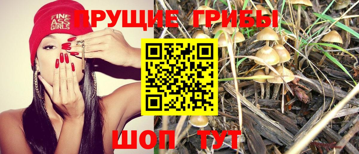 Галлюциногенные грибы прущие грибы  Алушта 